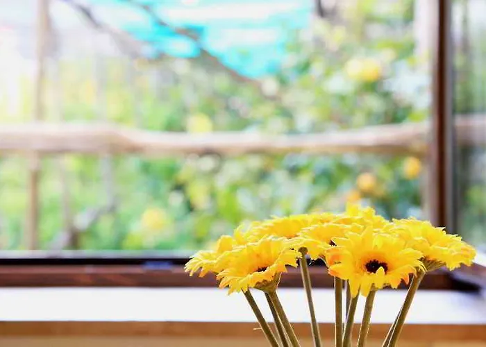 Mamma Lucia ソレント