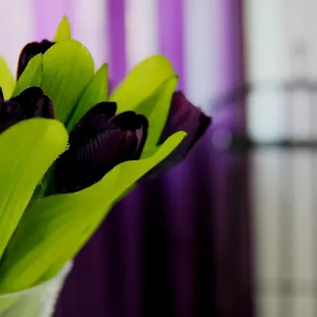 Mamma Lucia Feriehus *