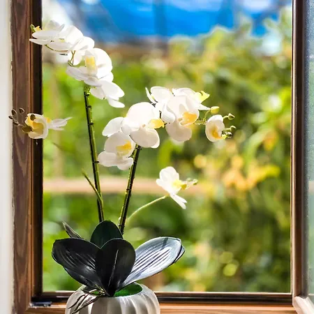Mamma Lucia 소렌토