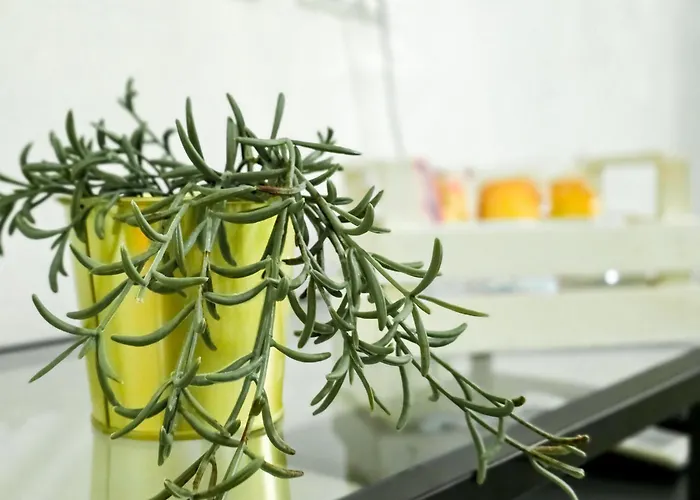 Nyaraló Mamma Lucia