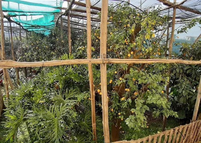 Nyaraló Mamma Lucia *