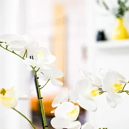 Mamma Lucia Sorrente