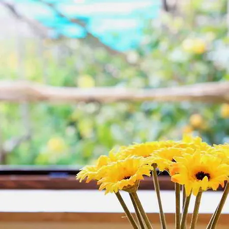 Mamma Lucia ソレント