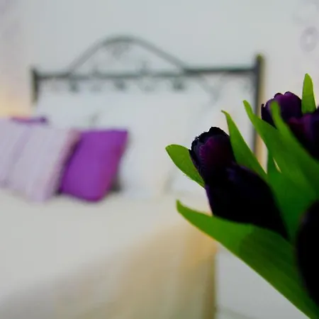 Mamma Lucia Tatil Evi Sorrento