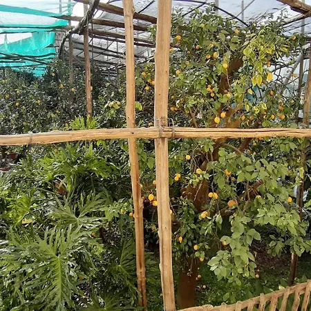 別荘 Mamma Lucia *