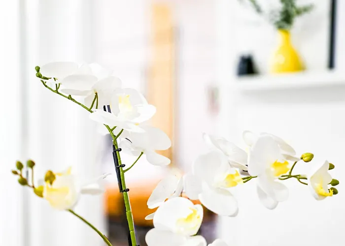 Mamma Lucia סורנטו