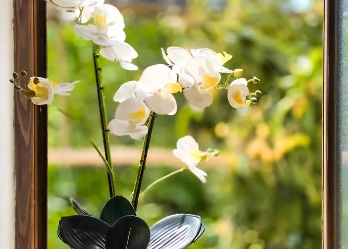 Mamma Lucia Sorrente