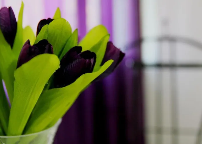 Mamma Lucia בית נופש *